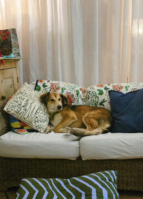 ✨ Maggie, la forza di chi ha conosciuto il dolore ma sogna solo amore ✨ Foto 11